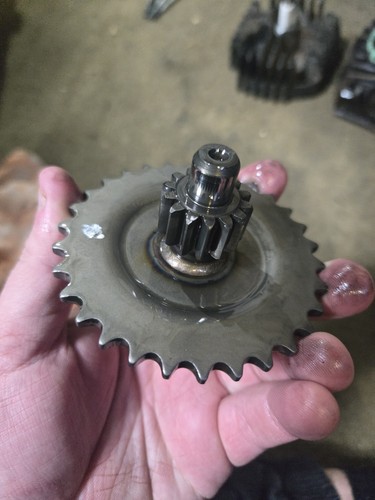 Honda qr50 drive gear - qr,