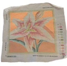 Kaffe Fasset Lily Ehrman Needlepoint Tapestry Canvas Vtg 2000 Unfinished
