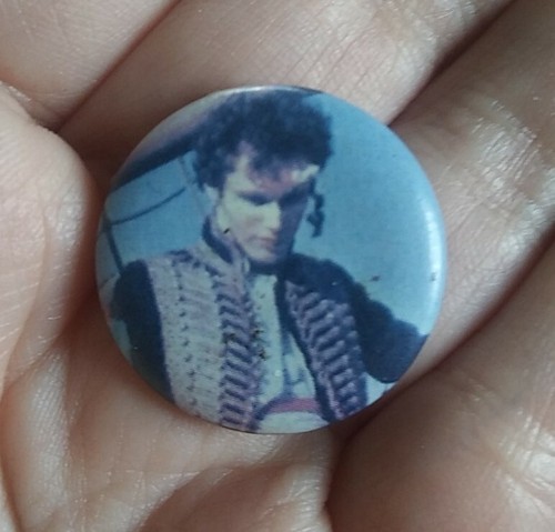 Adam ant music band true - ant,