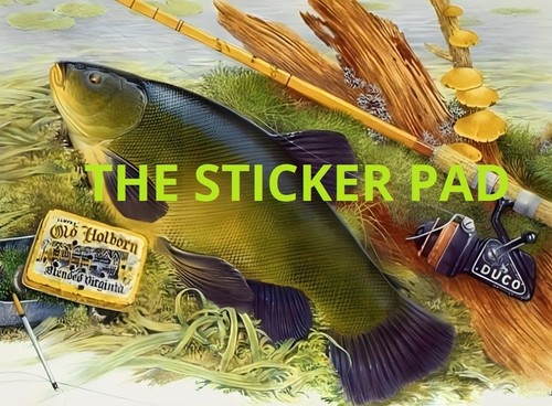 Vinyl sticker tench coarse - -,