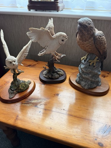 Set bird of prey - of,