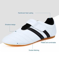 :(43) Taekwondo Shoes Martial