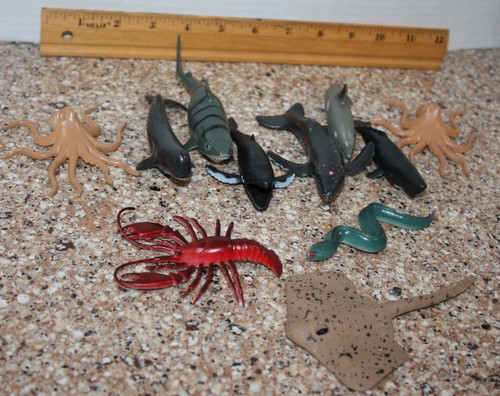 Ocean sea creatures animals - sea,