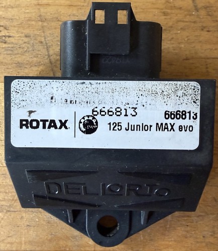 Junior rotax max - junior,