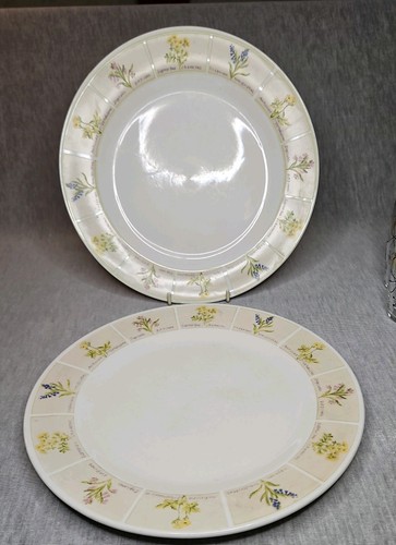 Vintage trade winds - trade, tableware