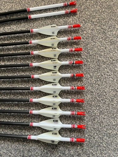 Easton ace arrows - easton, 12,