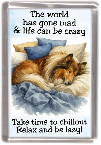 Rough collie sable - collie,
