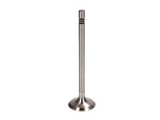 FRECCIA 6198/BM Exhaust valve