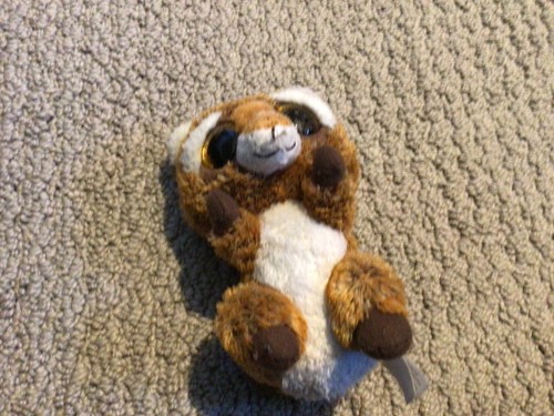 Stuffed animal red - animal, fox