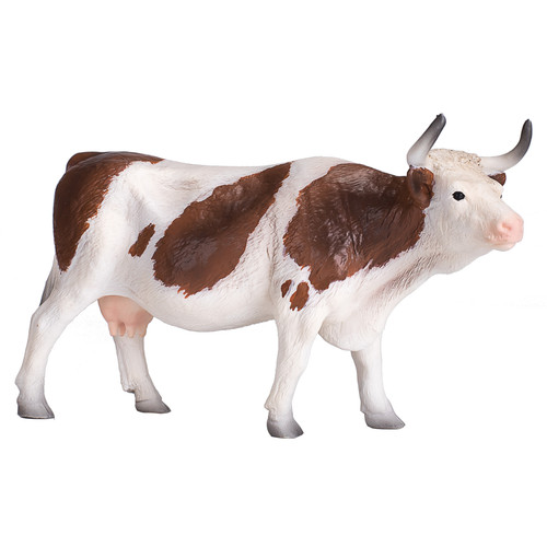Simmental cow farmyard life - farmyard,