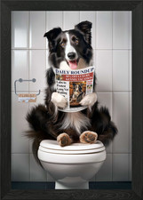 Border Collie on Toilet Framed