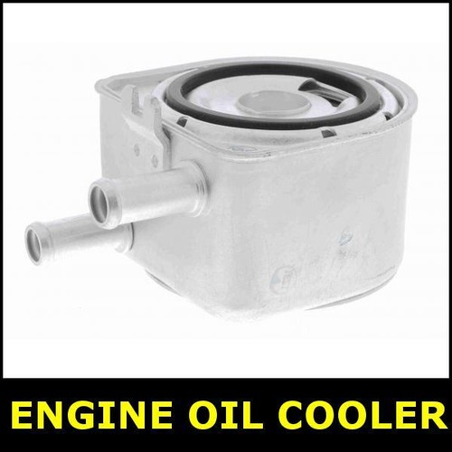 Engine oil cooler for - engine,