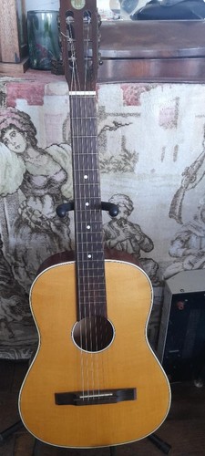 Musima parlor guitar - musima,