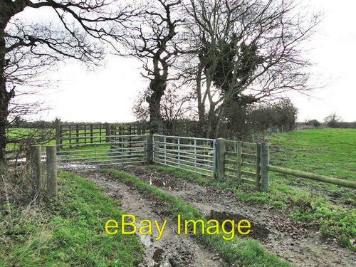 Photo 6x4 cattle crush - photo,