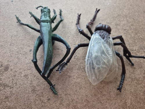 Grasshopper and fly - and, toy