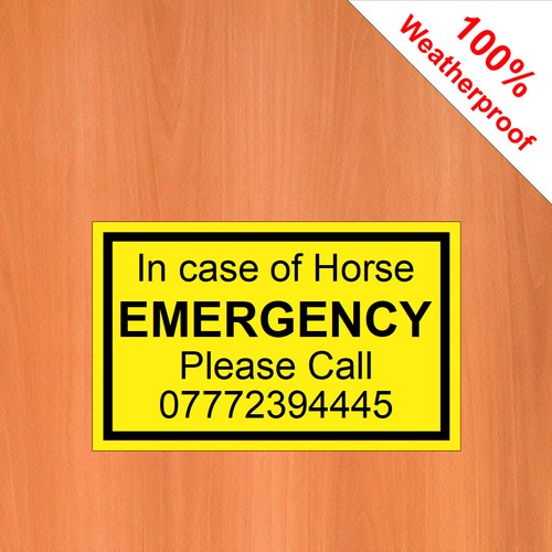 Custom horsebox trailer stable - custom, horsebox/trailer/stable