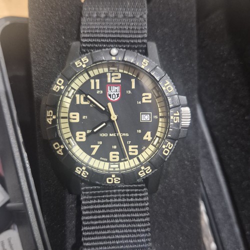Luminox leatherback sea turtle - leatherback,