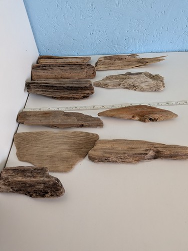 Decorative flat driftwood - #49.,