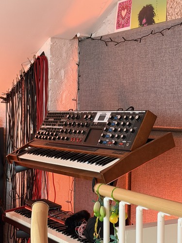 Moog voyager - moog,