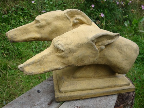 Greyhound dog heads whippet - dog,
