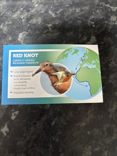 Rspb partner pin badge - badge, birds