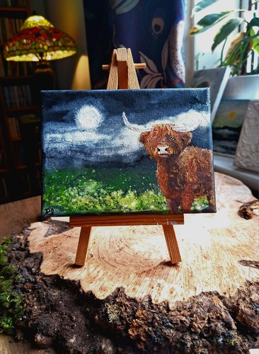 Curly coo highland cow - no.5.,