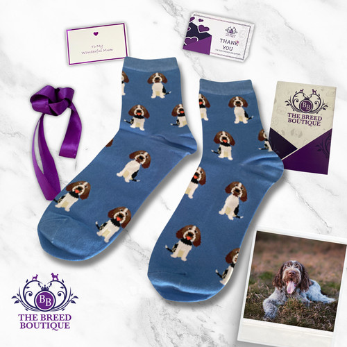 Italian spinone socks 2 - italian,