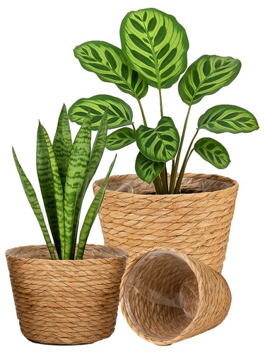 Sized seagrass planter - 3,