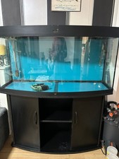Juwel Vision Curved Aquarium