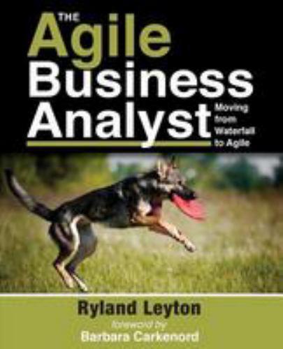 Agile business analyst - business,
