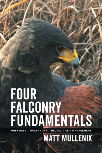 Four falconry fundamentals - four,