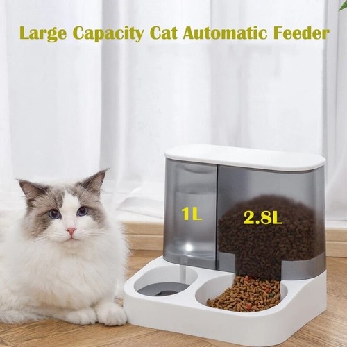 Large capacity automatic cat - capacity,
