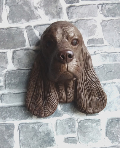English cocker spaniel - cocker, dog