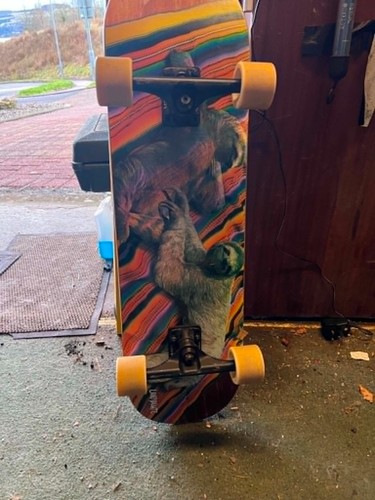 Landyachtz atv skateboard - landyachtz,