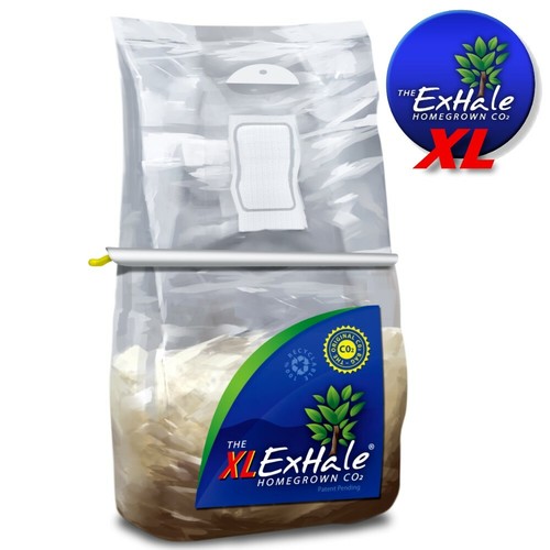 Exhale co2 large - co2,