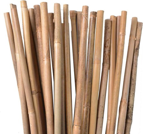 3ft bamboo canes - canes, plant