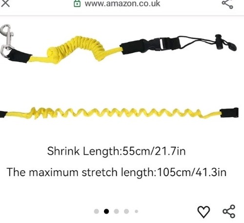 Kayak paddle leash rod - paddle,
