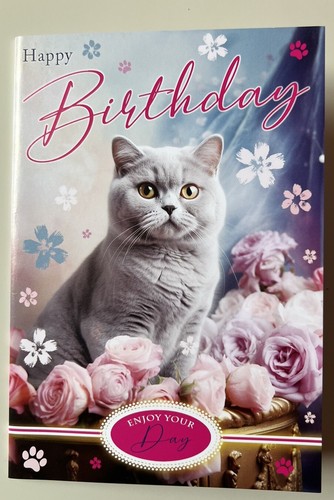 Cute british blue shorthair - british,