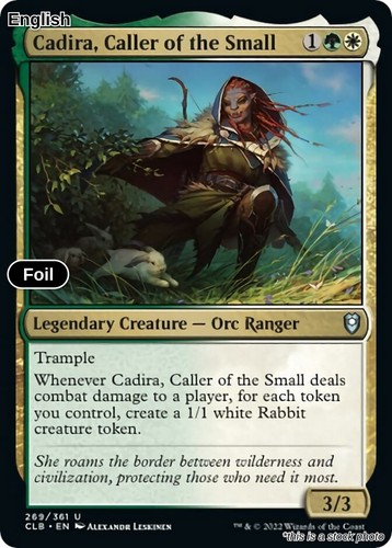 Cadira caller the small - cadira,, of