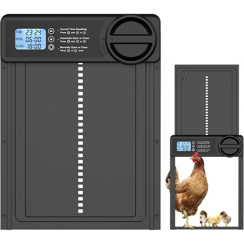 Automatic chicken coop - chicken, door