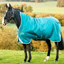 Horseware Ireland Amigo Bravo 12 Wug 250g Medium Turnout Rug