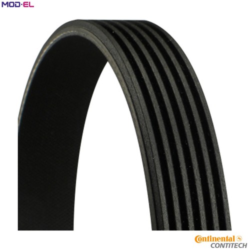 Vribbed belt 6pk2330 - belt, jeep