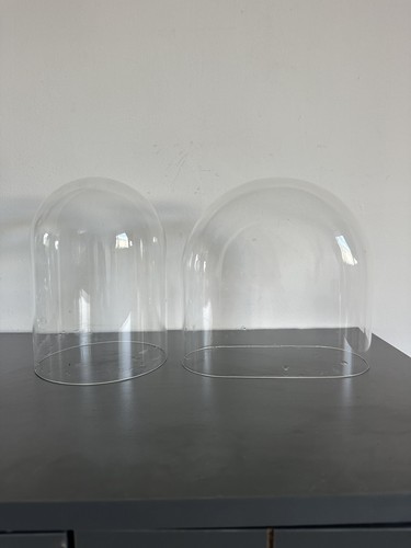 Clear glass dome bell - dome/bell, jar
