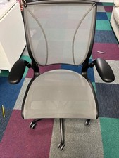 humanscale diffrient world