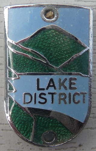 Walking stick badge - walking,