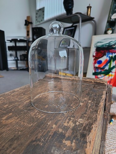 Glass bell jar dome display - glass,