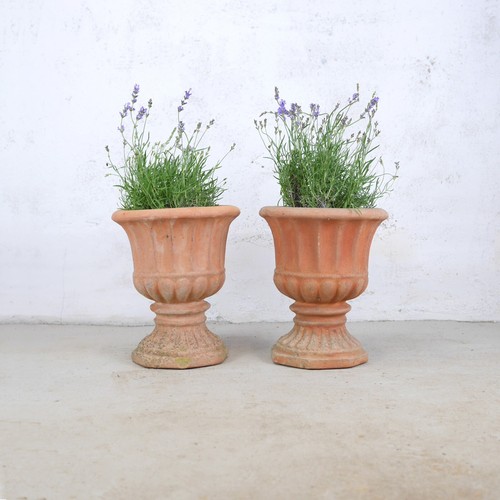 Pair weathered terracotta - pair,
