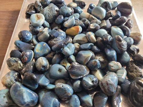 2kg boaty blue - 1.2kg,