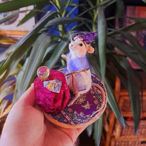 Mouse taxidermy fortune teller - mouse,