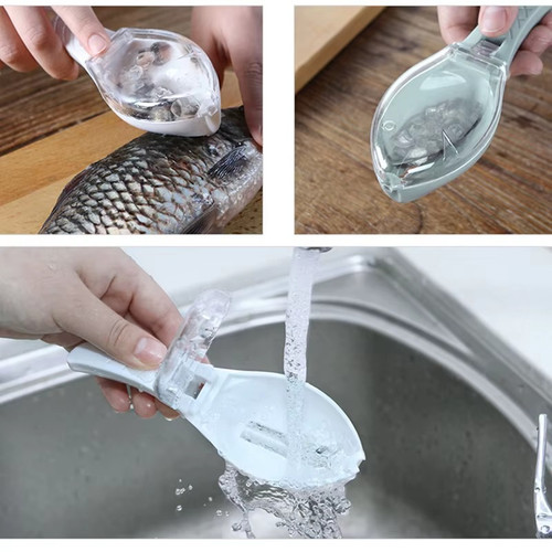 Fish skin brush - fish,